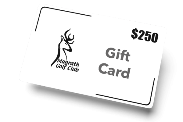 250$ Gift Card