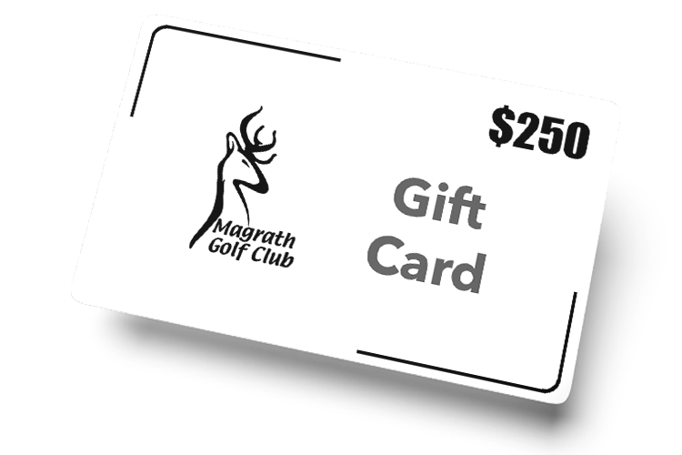 250$ Gift Card
